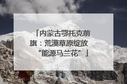 内蒙古鄂托克前旗：荒漠草原绽放“能源马兰花”