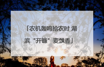 农机轰鸣抢农时 湖滨“开镰”麦飘香