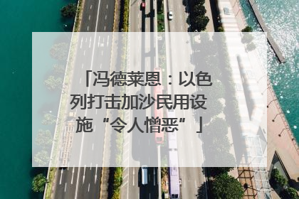冯德莱恩：以色列打击加沙民用设施“令人憎恶”