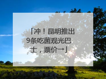 冲！昆明推出9条吃菌观光巴士，票价→