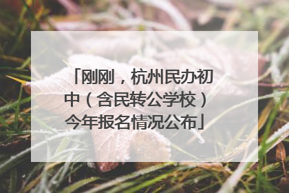 刚刚，杭州民办初中（含民转公学校）今年报名情况公布