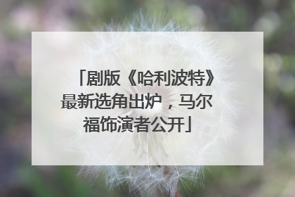 剧版《哈利波特》最新选角出炉，马尔福饰演者公开