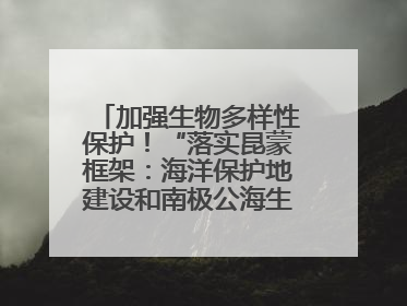 加强生物多样性保护！“落实昆蒙框架：海洋保护地建设和南极公海生态保护”主题论坛将举办