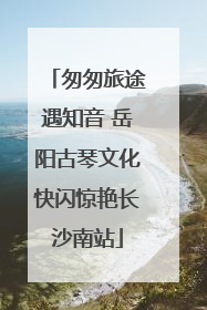匆匆旅途遇知音 岳阳古琴文化快闪惊艳长沙南站