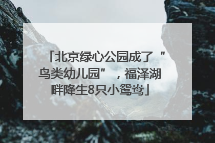 北京绿心公园成了“鸟类幼儿园”，福泽湖畔降生8只小鸳鸯