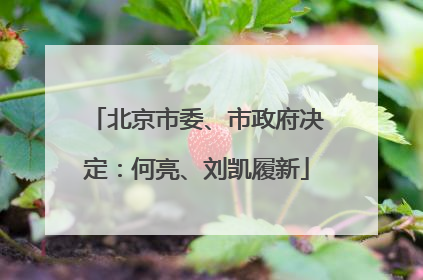 北京市委、市政府决定：何亮、刘凯履新