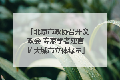 北京市政协召开议政会 专家学者建言扩大城市立体绿量