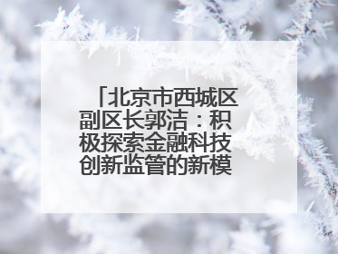 北京市西城区副区长郭洁：积极探索金融科技创新监管的新模式和新方法