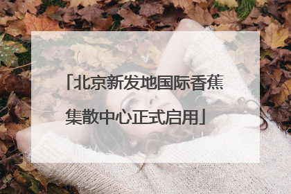 北京新发地国际香蕉集散中心正式启用