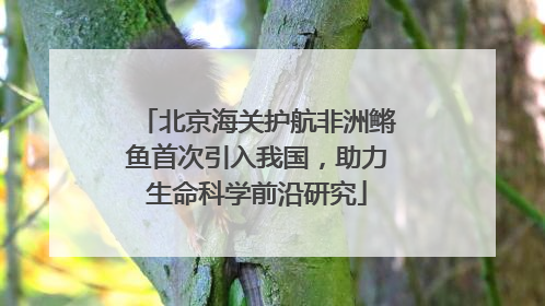 北京海关护航非洲鳉鱼首次引入我国，助力生命科学前沿研究