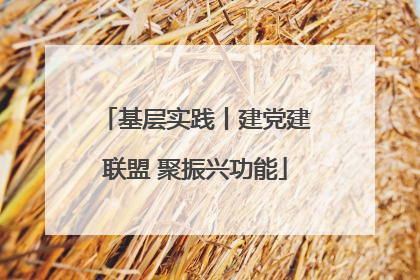 基层实践丨建党建联盟 聚振兴功能