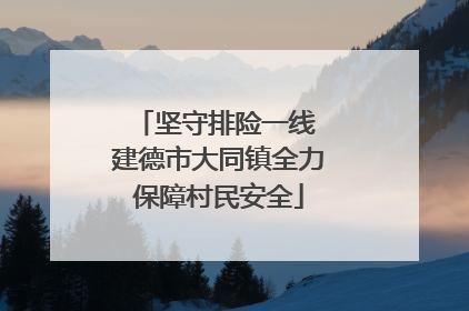 坚守排险一线 建德市大同镇全力保障村民安全