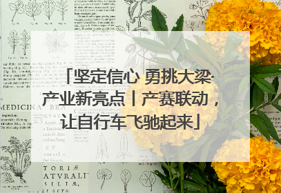 坚定信心 勇挑大梁·产业新亮点丨产赛联动，让自行车飞驰起来