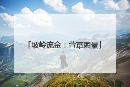 坡岭流金：萱草图景