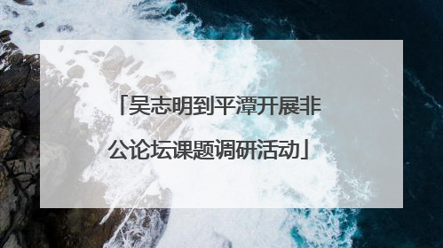 吴志明到平潭开展非公论坛课题调研活动