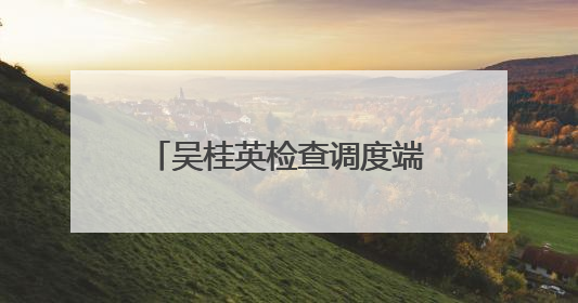 吴桂英检查调度端午假期重点工作