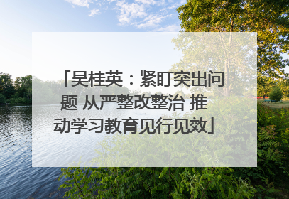 吴桂英：紧盯突出问题 从严整改整治 推动学习教育见行见效