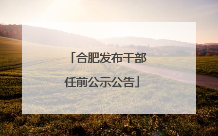 合肥发布干部任前公示公告