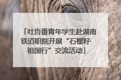 吐鲁番青年学生赴湖南铁道职院开展“石榴籽·祖国行”交流活动