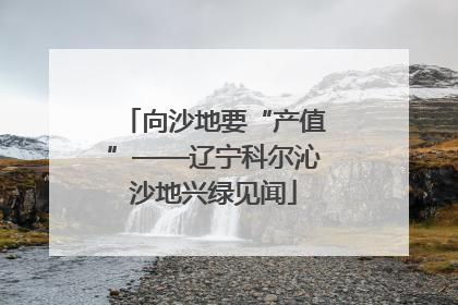 向沙地要“产值”——辽宁科尔沁沙地兴绿见闻
