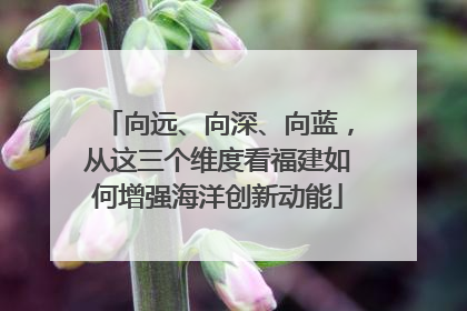 向远、向深、向蓝，从这三个维度看福建如何增强海洋创新动能