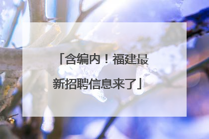 含编内！福建最新招聘信息来了