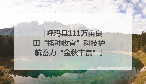 呼玛县111万亩良田“播种收官”科技护航蓄力“金秋丰景”