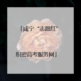 咸宁“志愿红”织密高考服务网