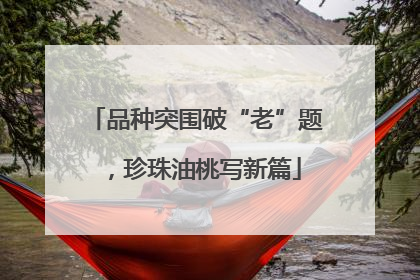 品种突围破“老”题，珍珠油桃写新篇