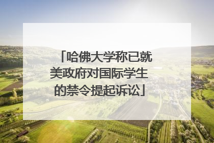 哈佛大学称已就美政府对国际学生的禁令提起诉讼
