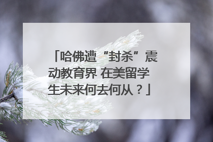 哈佛遭“封杀”震动教育界 在美留学生未来何去何从？