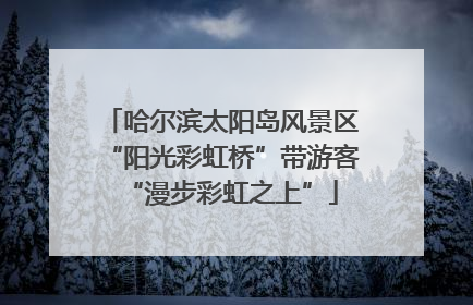 哈尔滨太阳岛风景区“阳光彩虹桥”带游客“漫步彩虹之上”