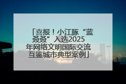 喜报！小江豚“蓝叒叒”入选2025年网络文明国际交流互鉴城市典型案例