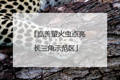 嘉善萤火虫点亮长三角示范区