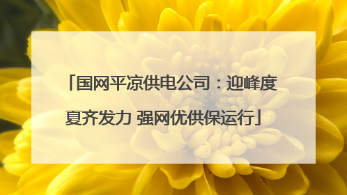 国网平凉供电公司：迎峰度夏齐发力 强网优供保运行