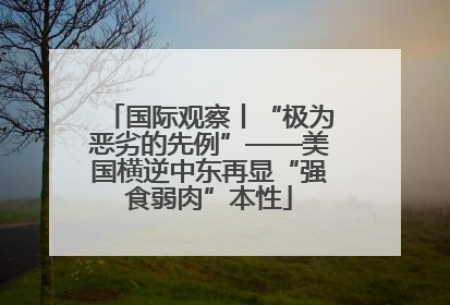 国际观察丨“极为恶劣的先例”——美国横逆中东再显“强食弱肉”本性