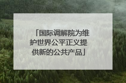 国际调解院为维护世界公平正义提供新的公共产品
