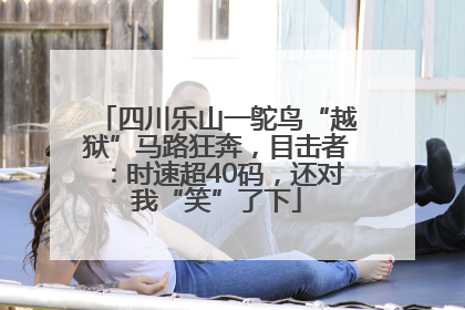 四川乐山一鸵鸟“越狱”马路狂奔，目击者：时速超40码，还对我“笑”了下