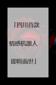 四川首款情感机器人即将面世
