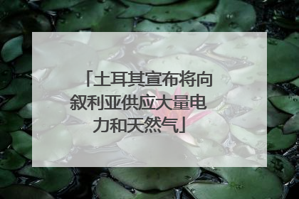 土耳其宣布将向叙利亚供应大量电力和天然气