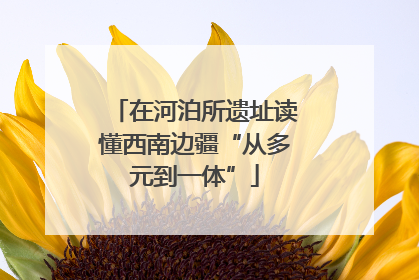 在河泊所遗址读懂西南边疆“从多元到一体”