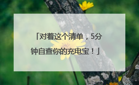 对着这个清单，5分钟自查你的充电宝！