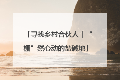 寻找乡村合伙人｜“棚”然心动的盐碱地