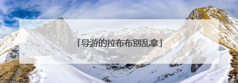 导游的拉布布别乱拿