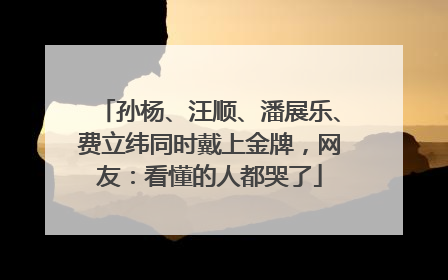 孙杨、汪顺、潘展乐、费立纬同时戴上金牌，网友：看懂的人都哭了