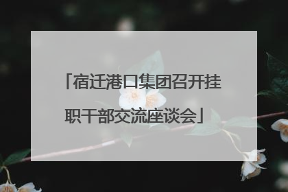 宿迁港口集团召开挂职干部交流座谈会