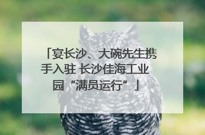 宴长沙、大碗先生携手入驻 长沙佳海工业园“满员运行”