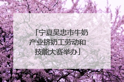 宁夏吴忠市牛奶产业挤奶工劳动和技能大赛举办