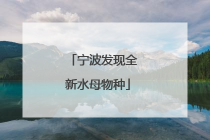 宁波发现全新水母物种