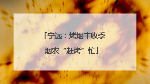 宁远：烤烟丰收季 烟农“赶烤”忙